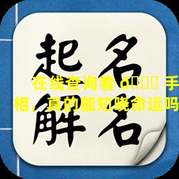 在线查询看 🐞 手相，真的能知晓命运吗
